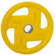Диск обрезиненный PROFI-FIT цветной "FASSION" D-51, 15 кг