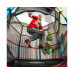 Батут DFC JUMP KIDS 55" красный с желто-синими стойками