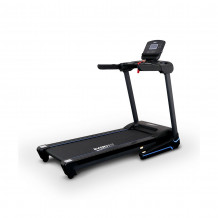 Беговая дорожка Everyfit 74203B