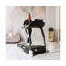 Беговая дорожка DFC SILUET FITNESS T5S Беговая дорожка DFC SILUET FITNESS T5S