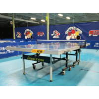 Теннисный стол профессиональный турнирный DOUBLE FISH 233W ITTF