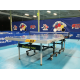 Теннисный стол профессиональный турнирный DOUBLE FISH 233W ITTF
