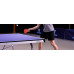Теннисный стол CORNILLEAU Indoor 300 (синий)