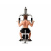Силовой комплекс DFC HomeGym D7000-60 стек 60 кг